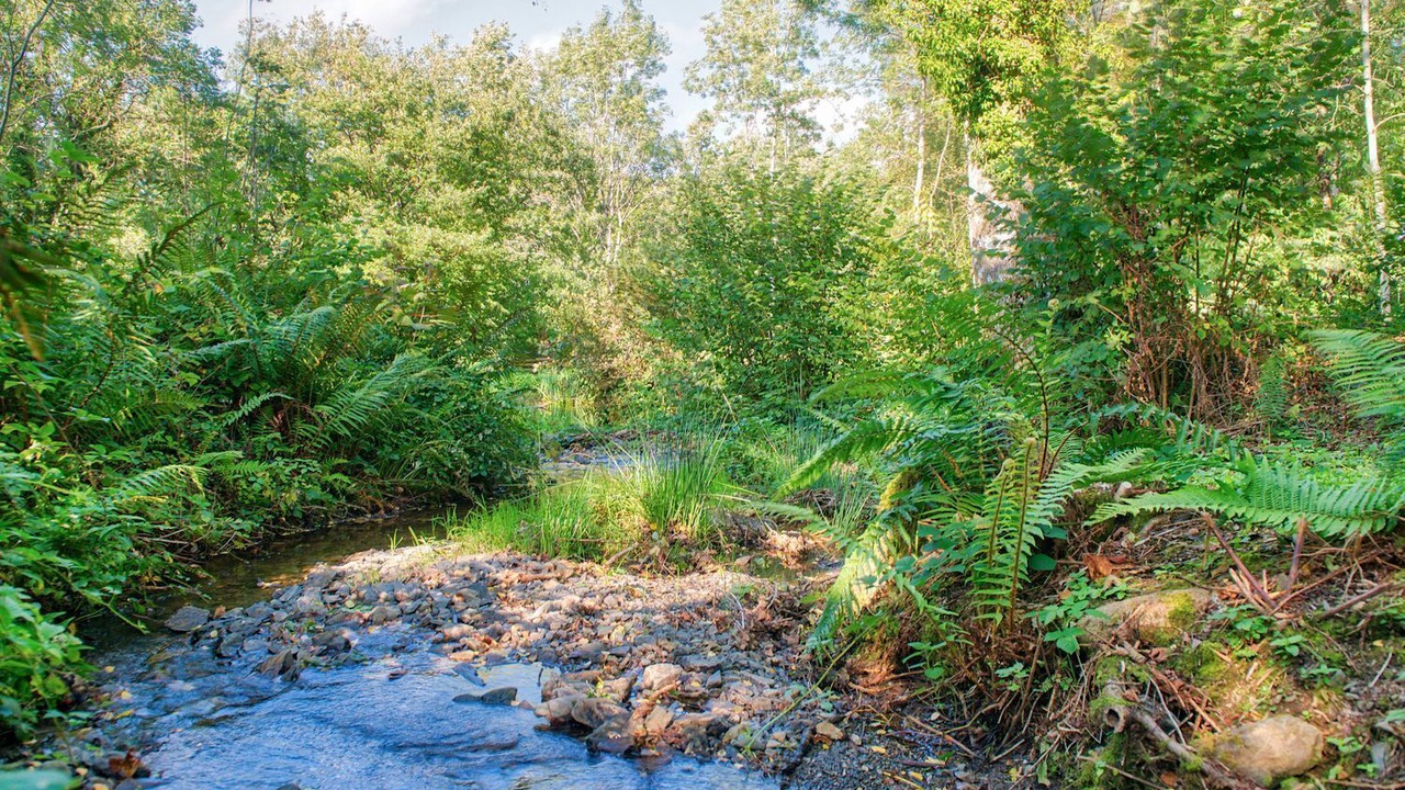 Photo of Outdoor in Llanycil