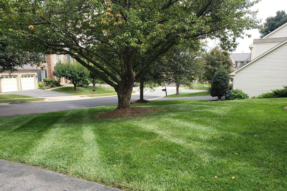 Photo of Others in North Potomac