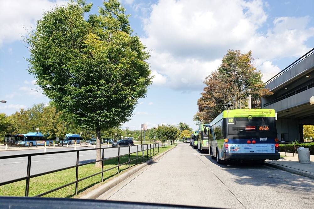 Photo of Others in North Potomac