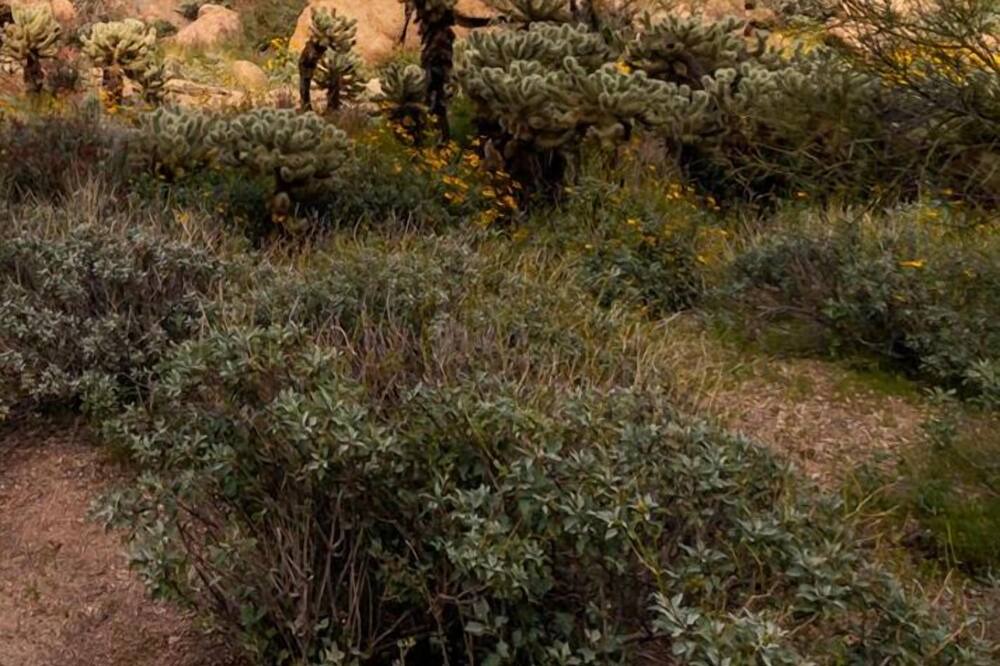 Photo of Outdoor in Legend Trail