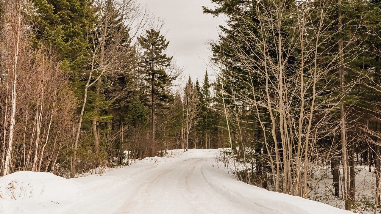 Photo of Others in Fiddler Lake Resort
