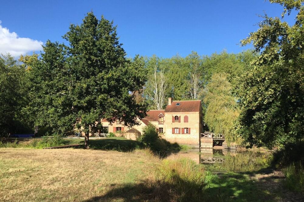 Photo of Outdoor in La Ferte-Saint-Aubin