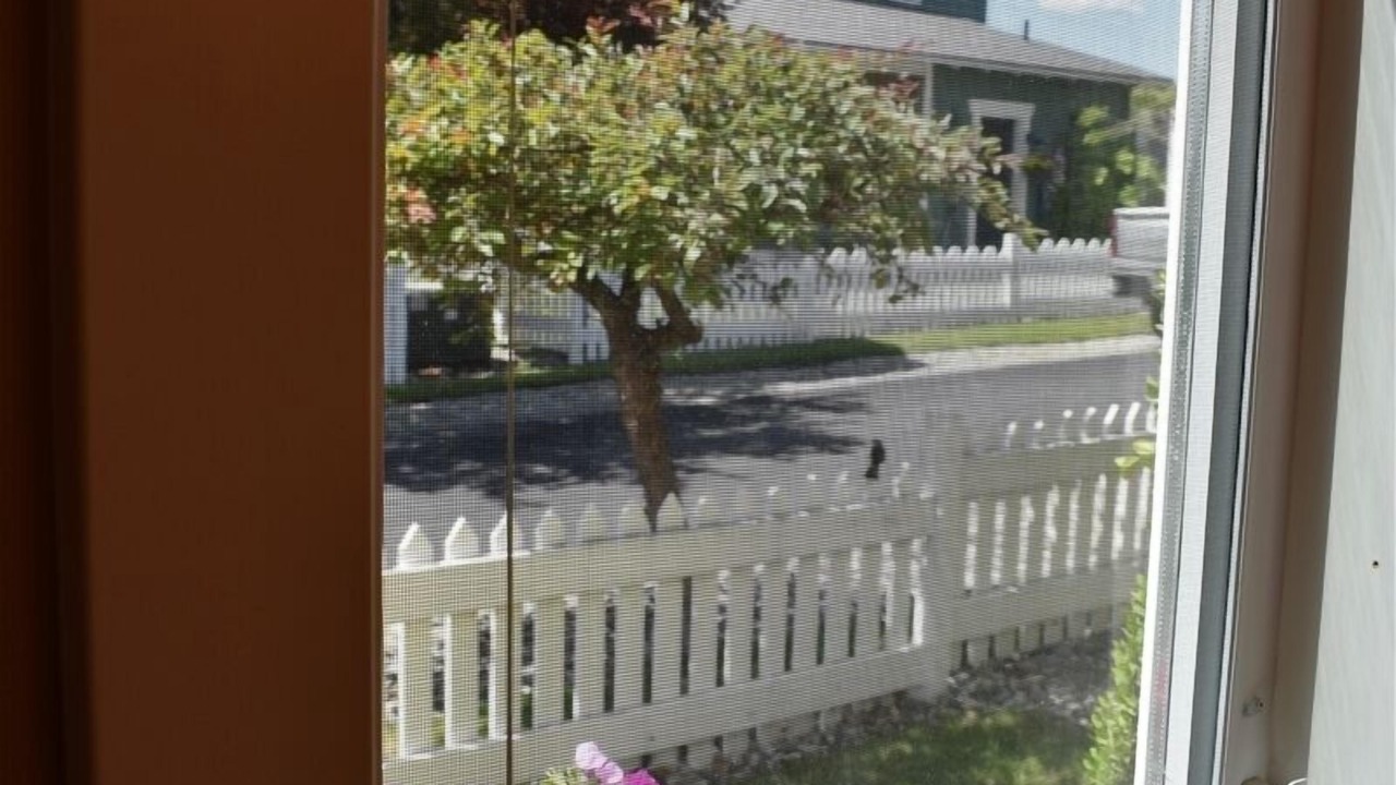 Photo of Others in Oroville