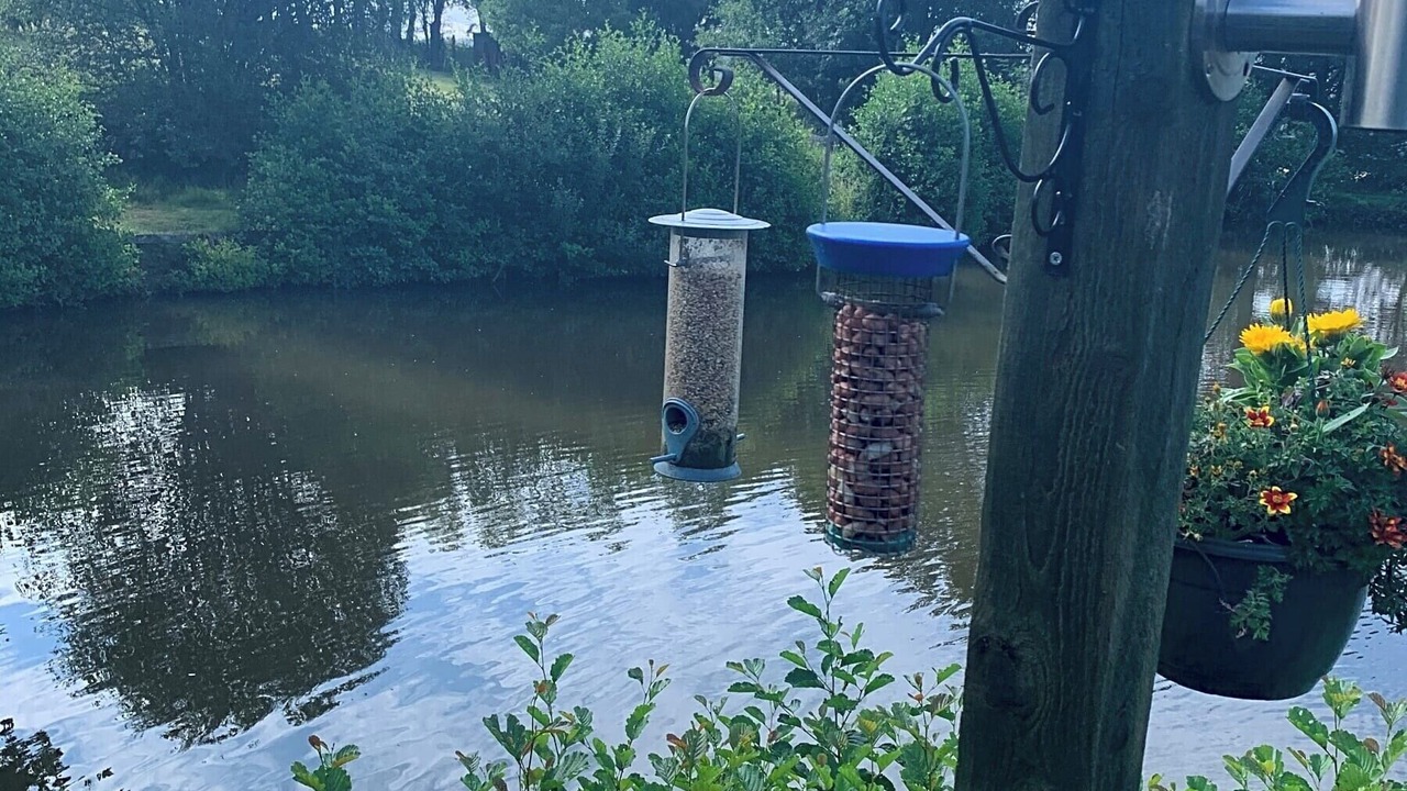 Photo of Others in Hadlow Down