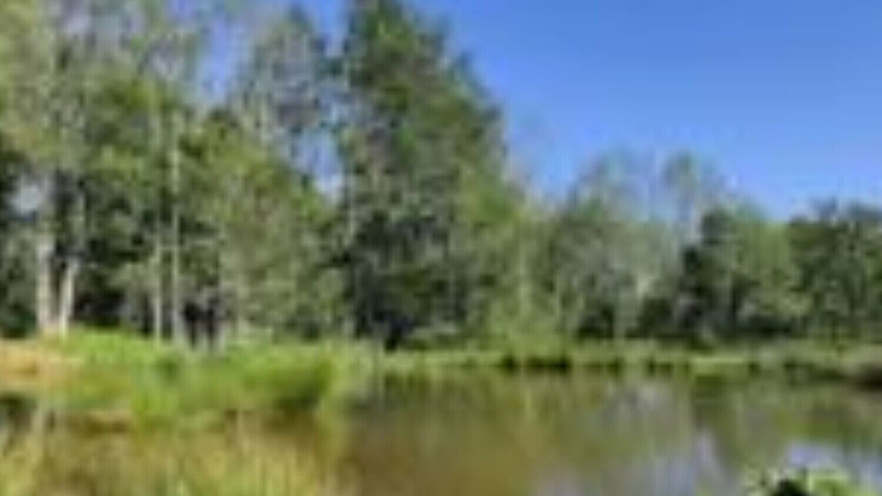 Photo of Outdoor in Hadlow Down