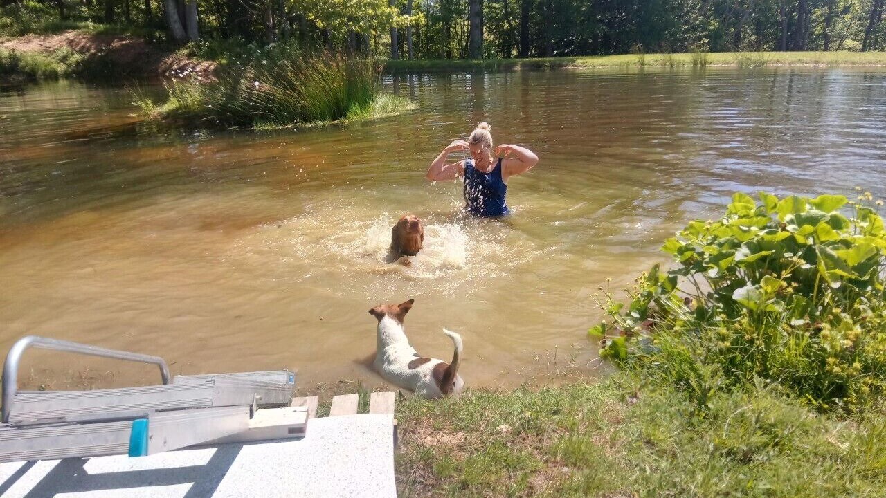 Photo of Outdoor in Hadlow Down