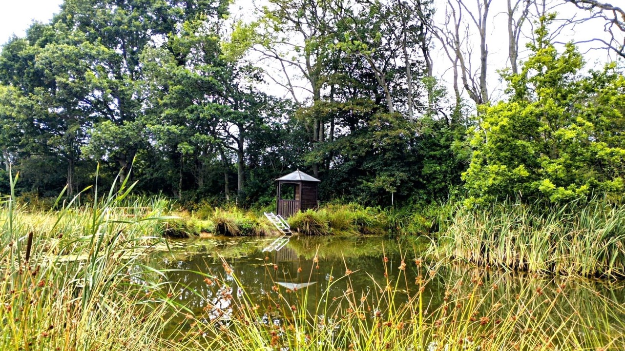 Photo of Outdoor in Hadlow Down