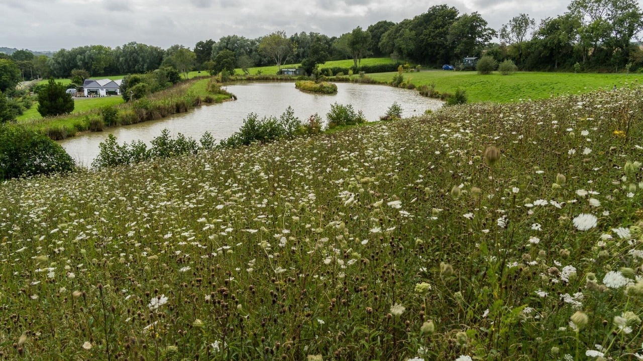 Photo of Outdoor in Hadlow Down