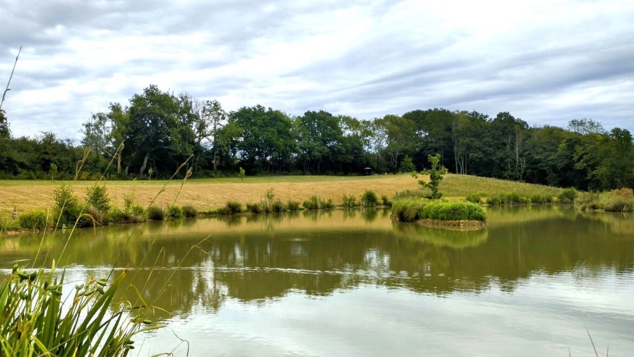 Photo of Others in Hadlow Down