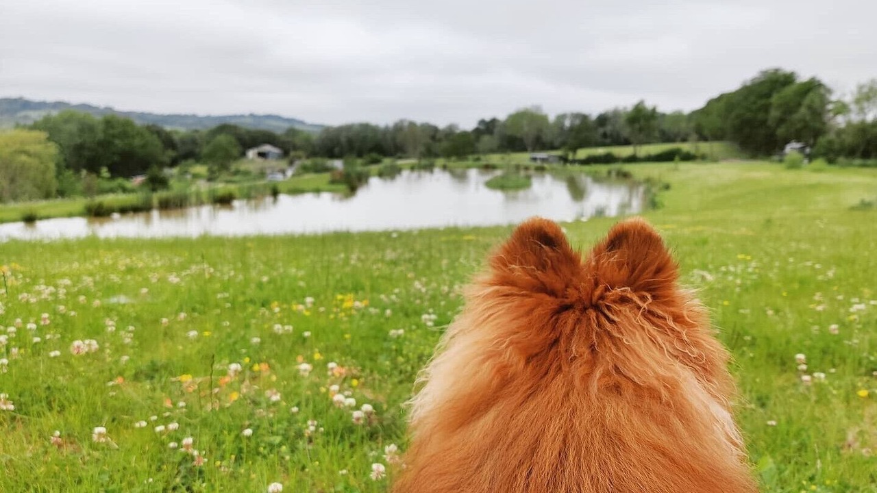 Photo of Outdoor in Hadlow Down