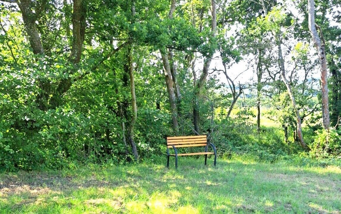 Photo of Outdoor in Hadlow Down