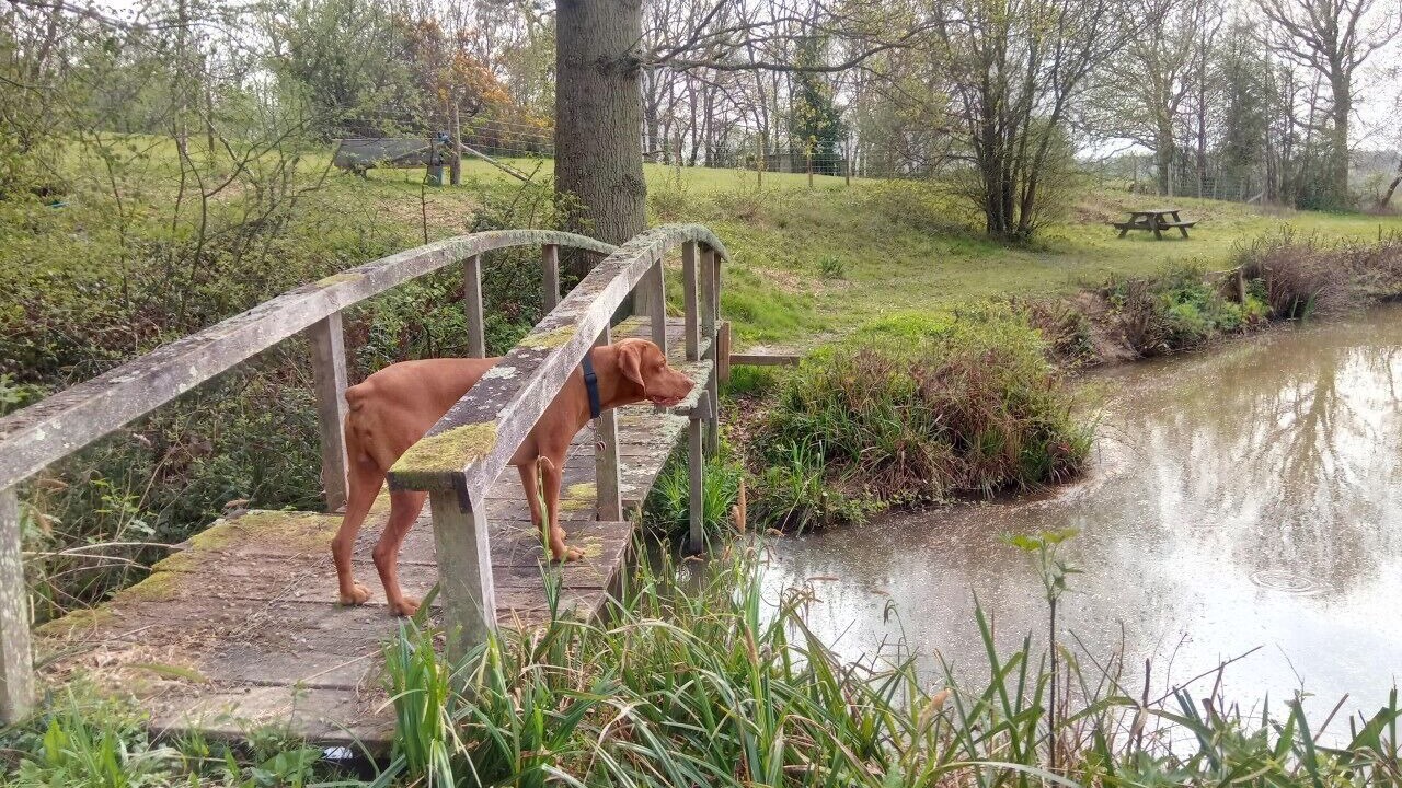Photo of Outdoor in Hadlow Down
