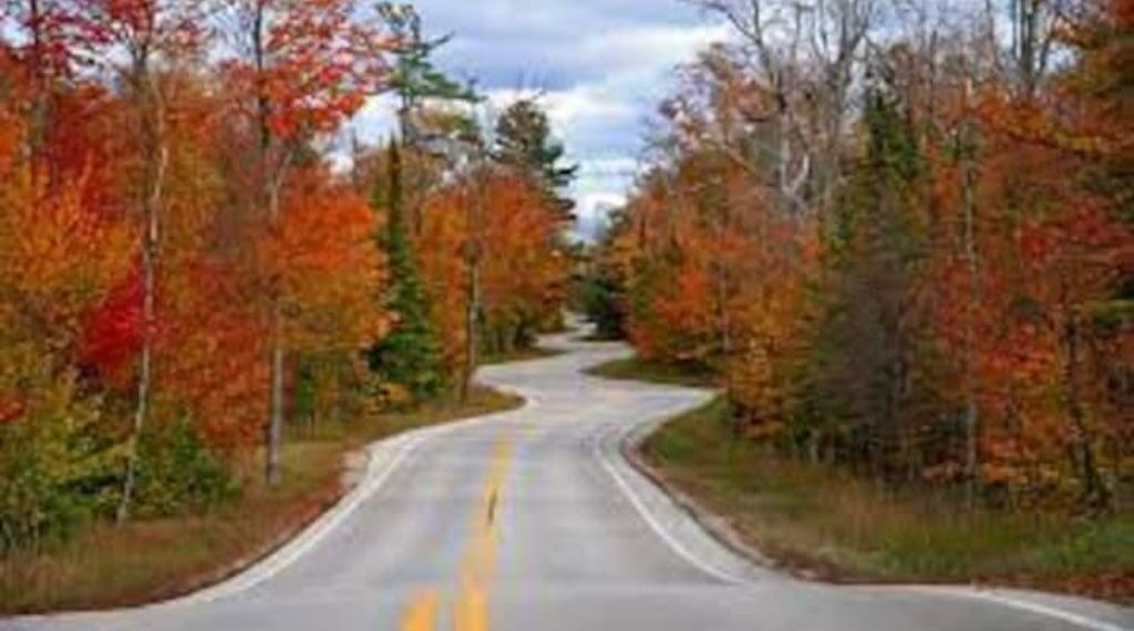 Photo of Outdoor in Bohners Lake
