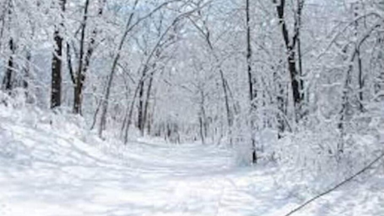 Photo of Others in Bohners Lake