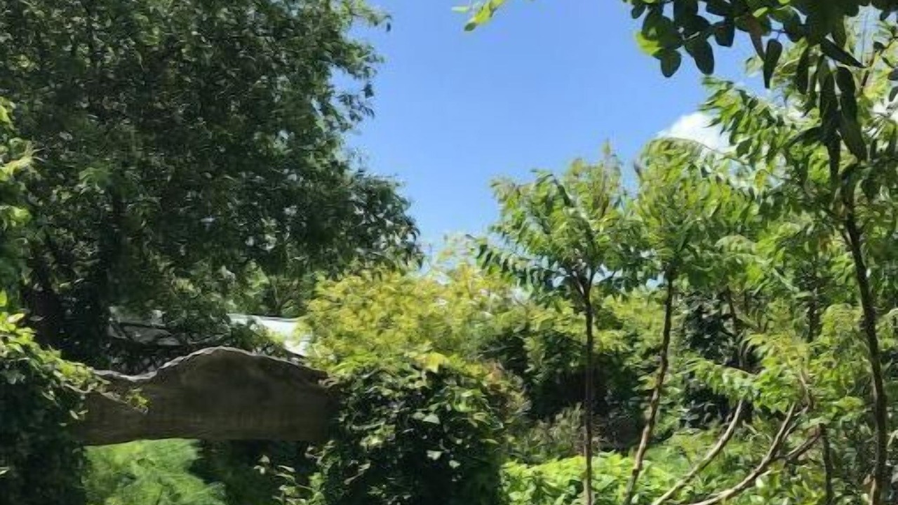 Photo of Outdoor in Frossay