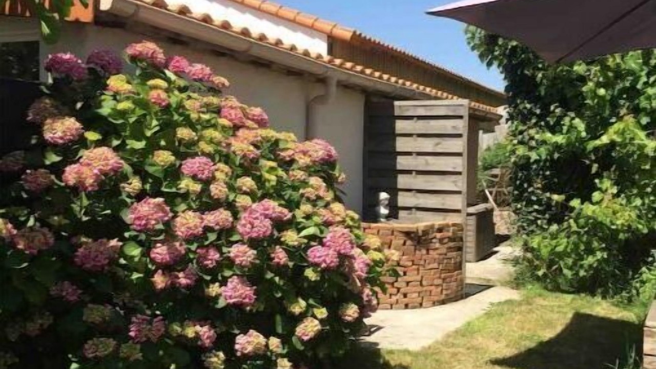 Photo of Outdoor in Frossay