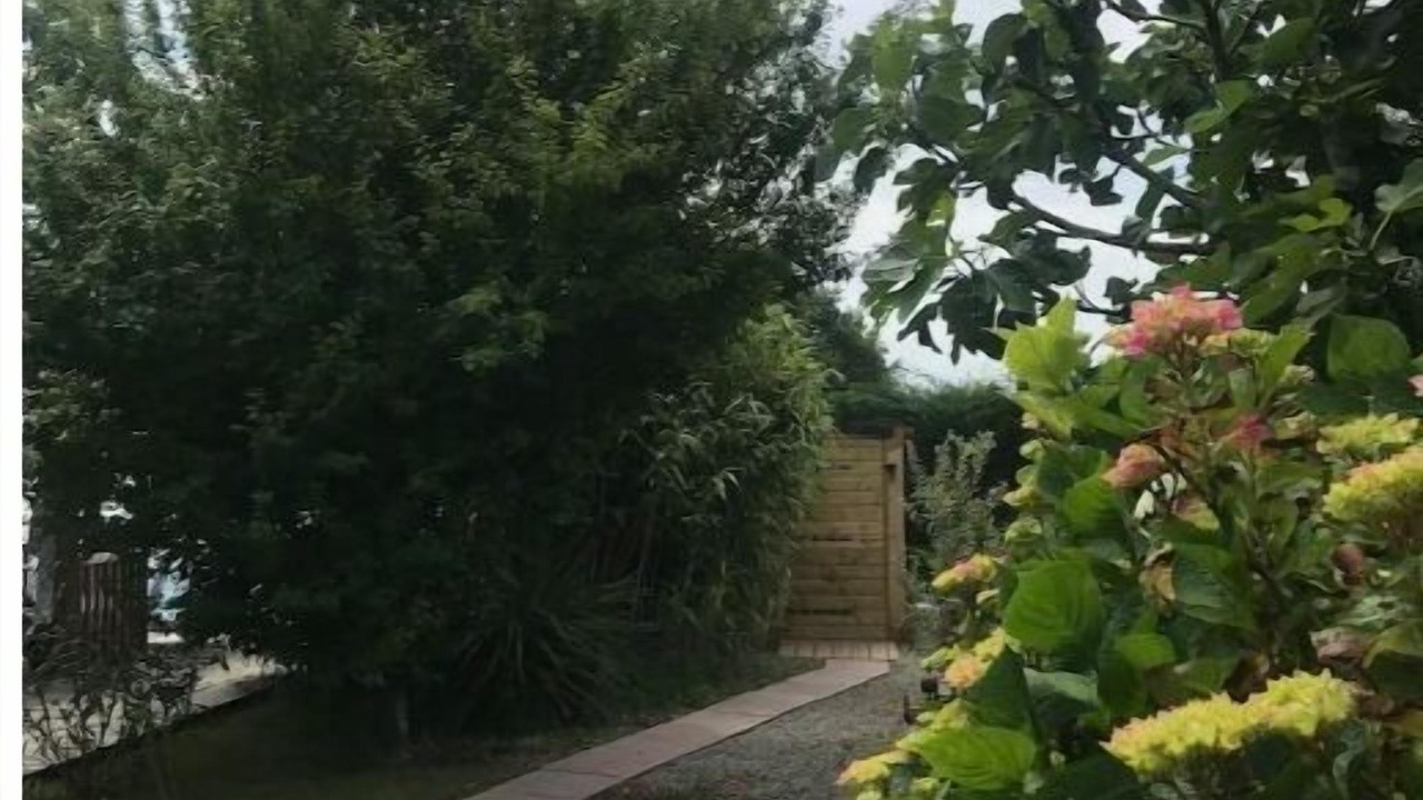 Photo of Outdoor in Frossay