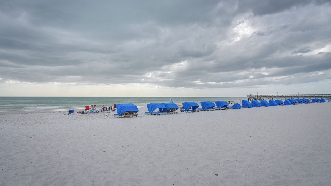 Photo of Others in Indian Shores