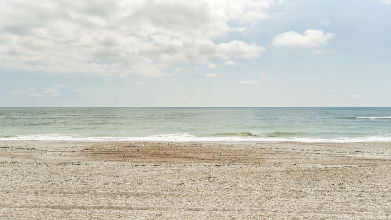 Photo of Others in Fernandina Beach