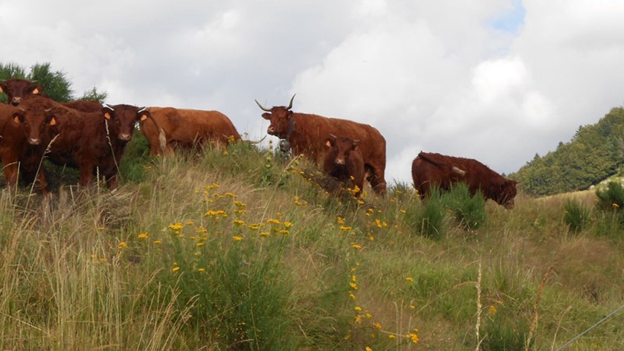 Photo of Outdoor in Fontanges