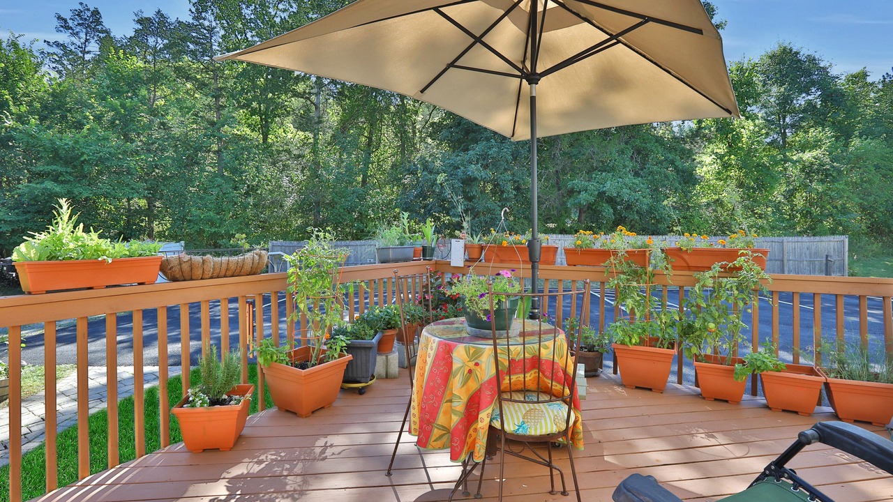 Photo of Others in New Paltz