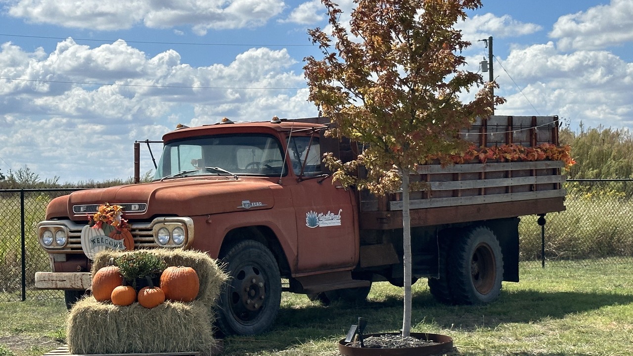 Photo of Outdoor in Taylor