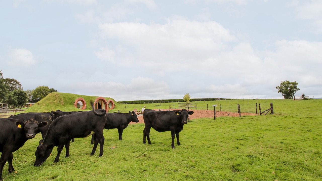 Photo of Others in Little Hereford