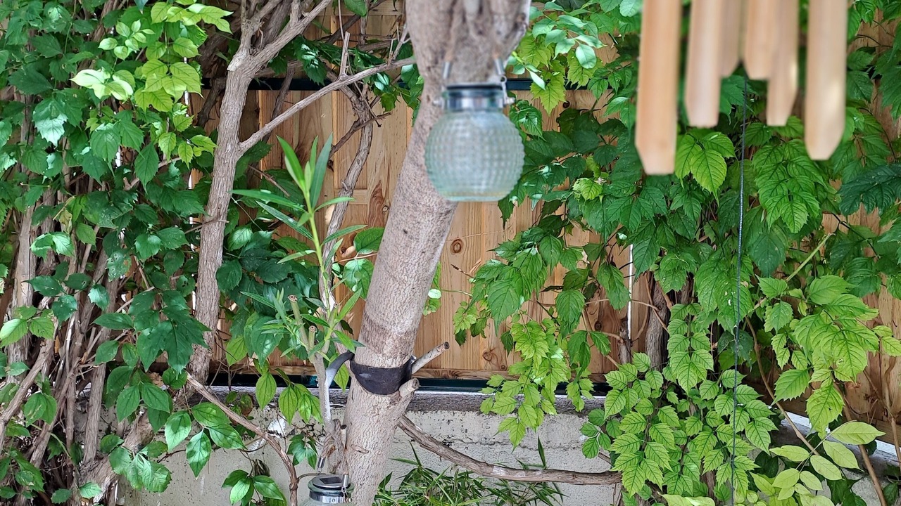 Photo of Outdoor in Sainte-Valiere
