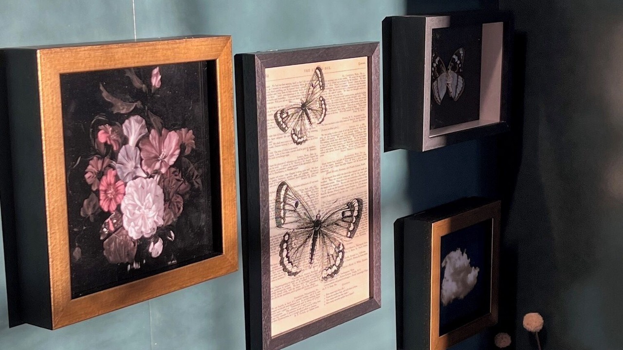 Photo of Others in Orono