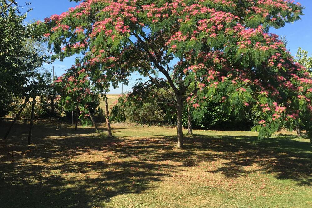 Photo of Outdoor in Monflanquin