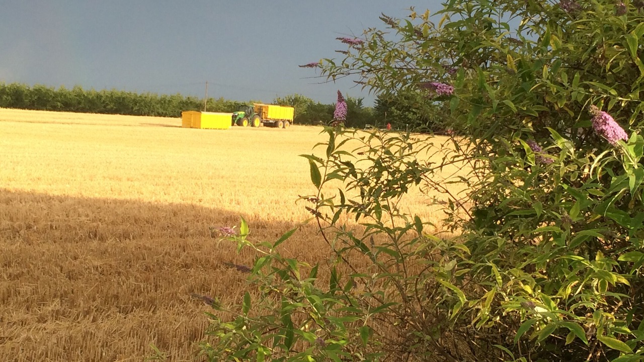 Photo of Outdoor in Monflanquin