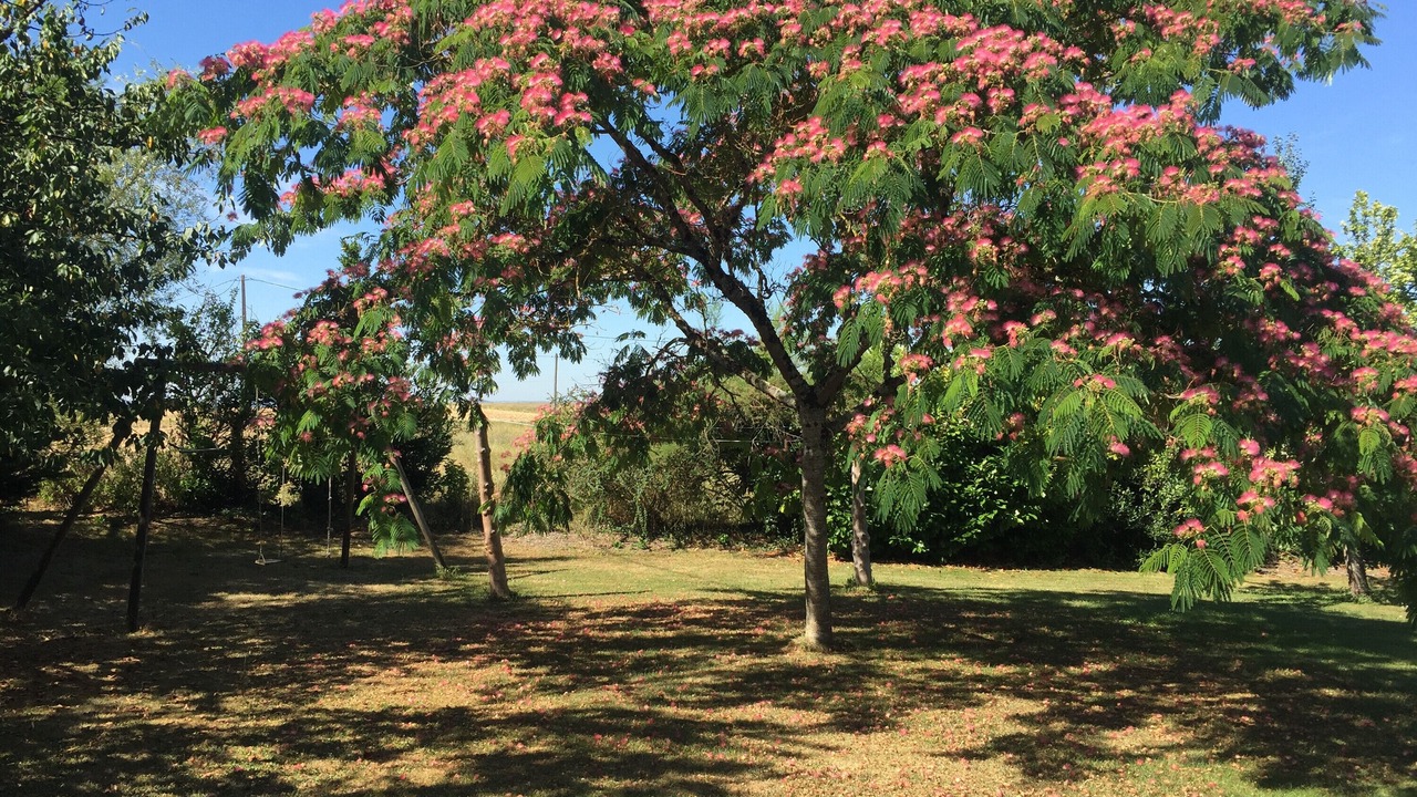Photo of Outdoor in Monflanquin