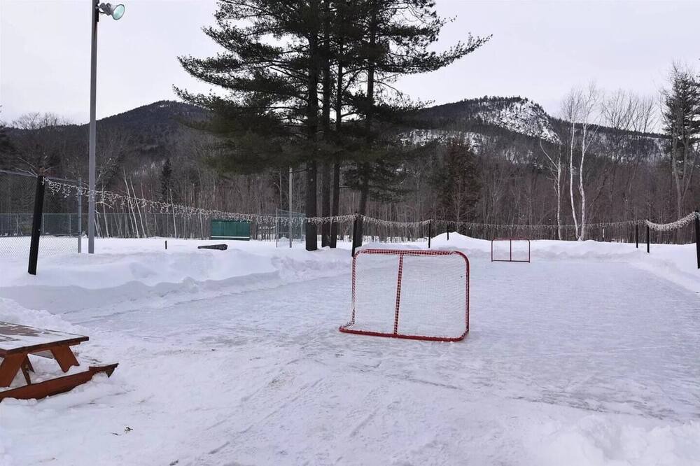 Photo of Others in Bartlett