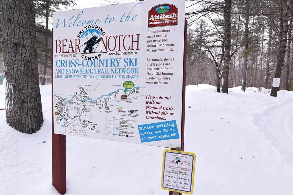 Photo of Others in Bartlett