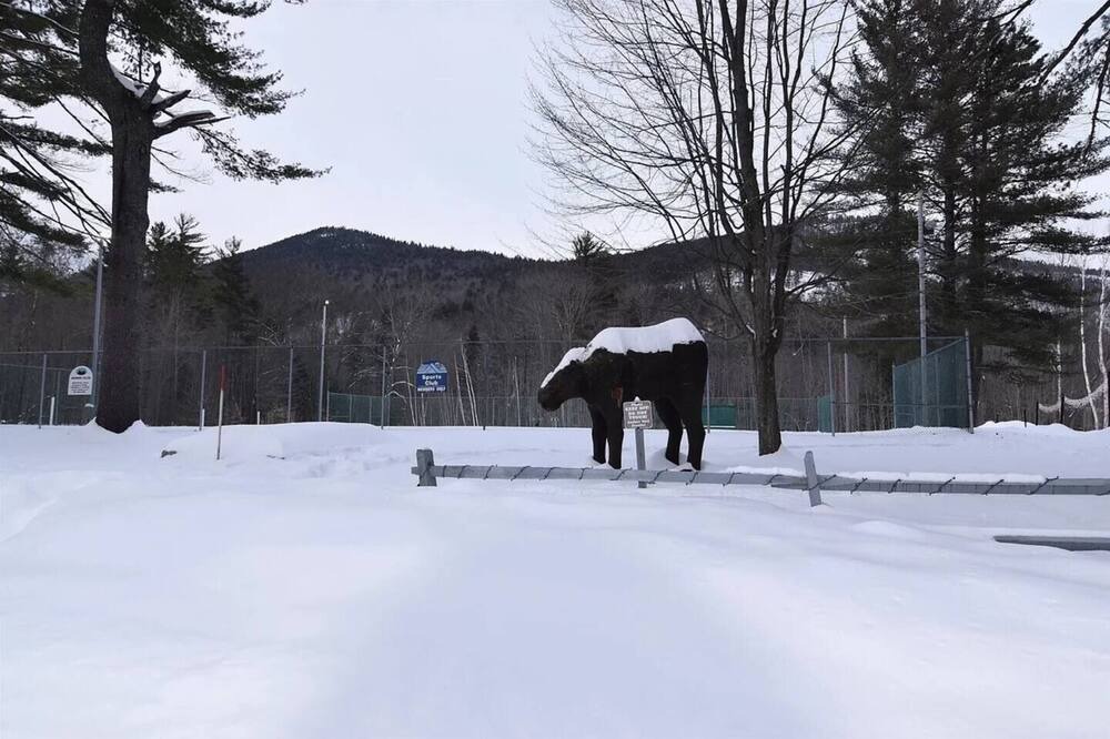 Photo of Others in Bartlett