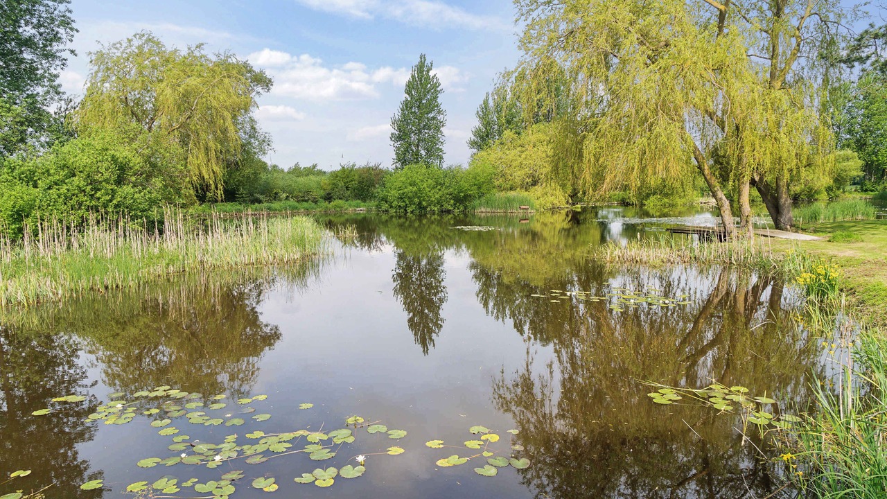 Photo of Others in Stokkemarke