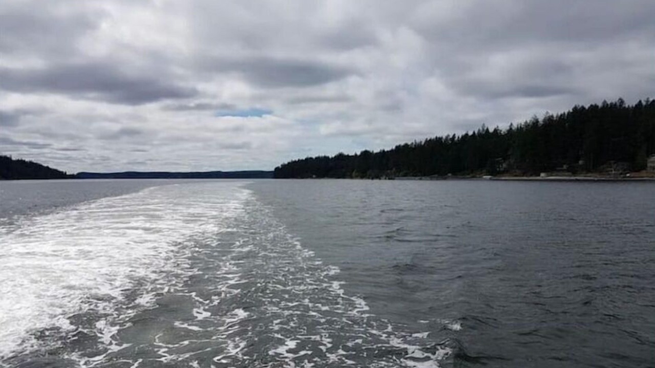 Photo of Others in Lakebay