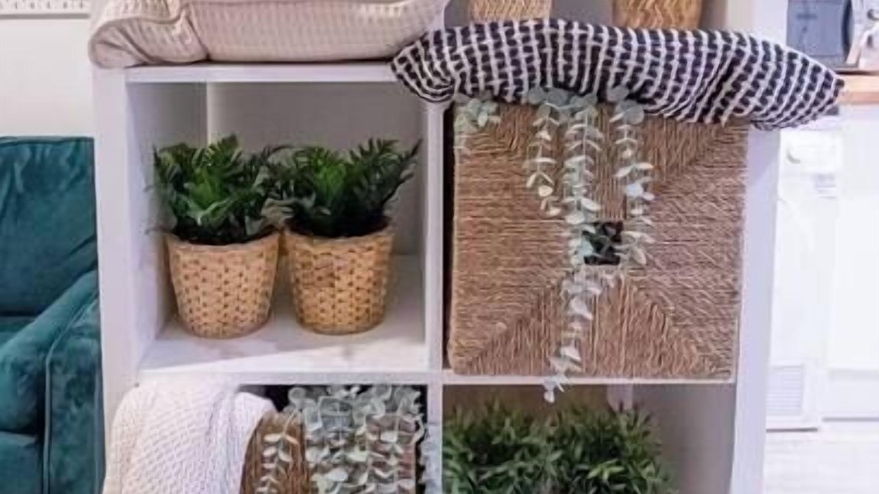 Photo of Others in Northampton