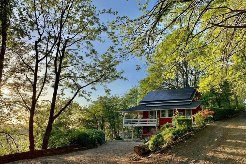 Photo of Others in South Seattle