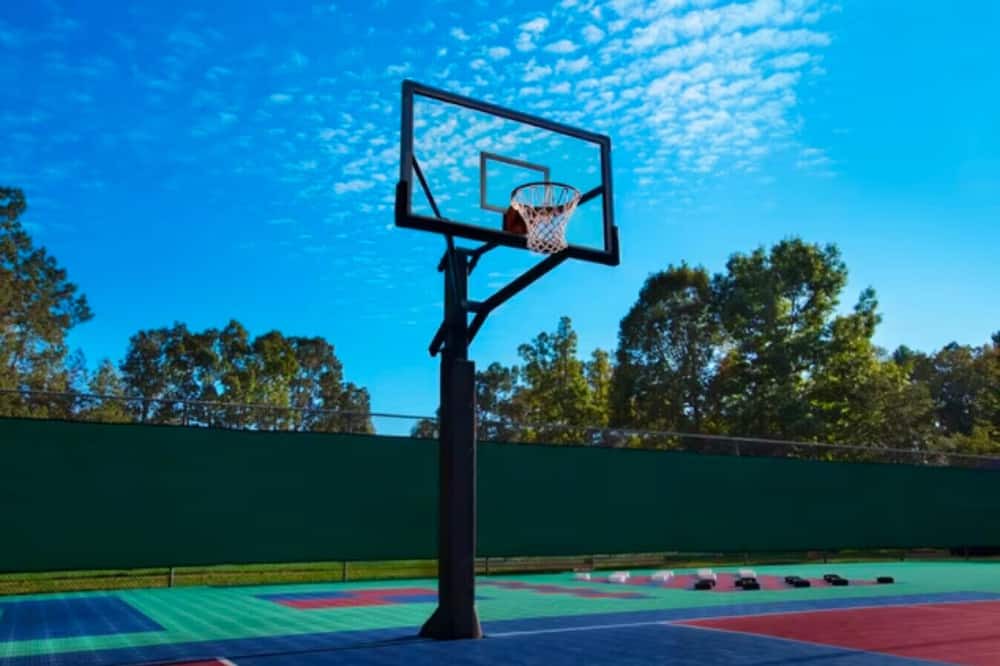 Photo of Others in Berkeley