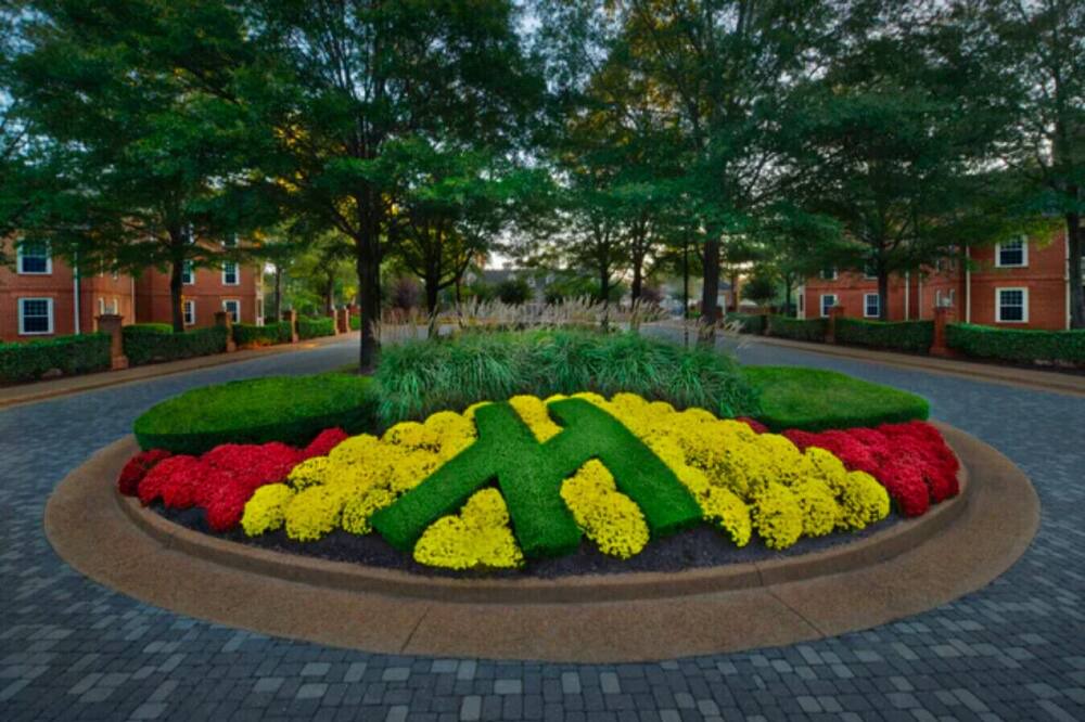 Photo of Others in Berkeley