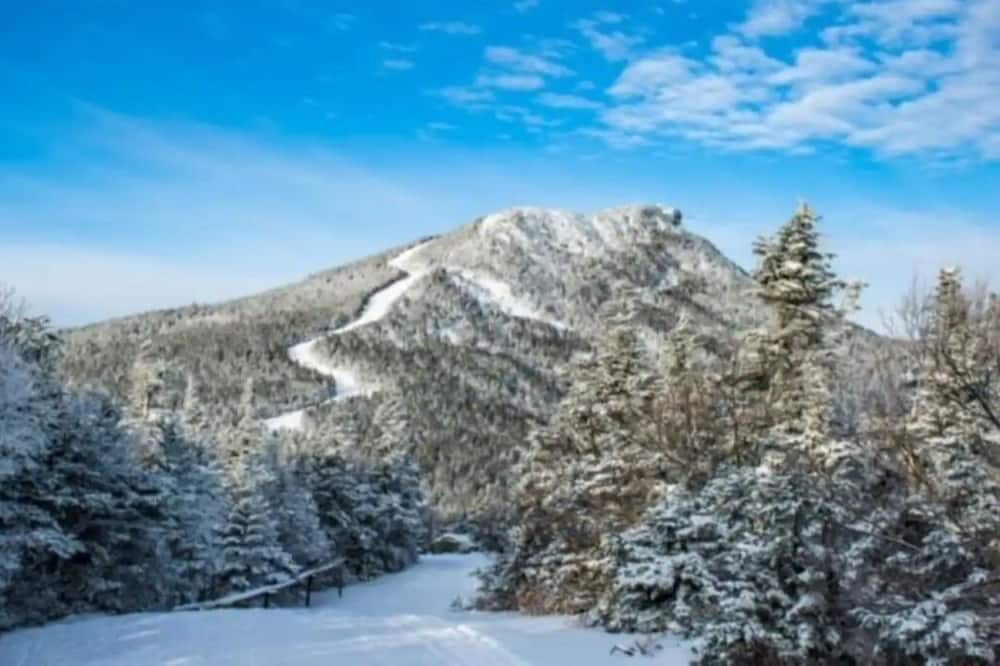 Photo of Others in Troy