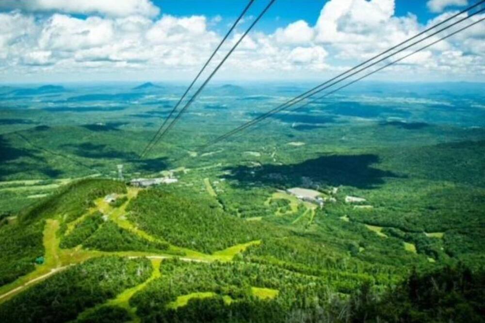 Photo of Others in Troy