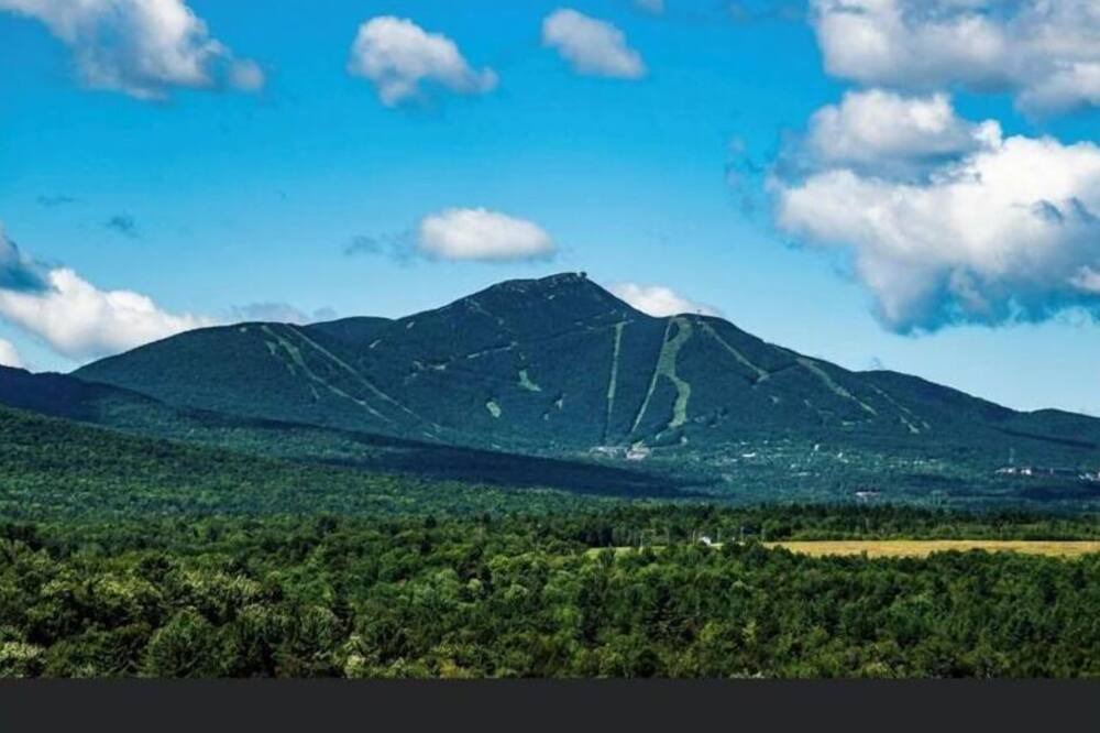 Photo of Others in Troy