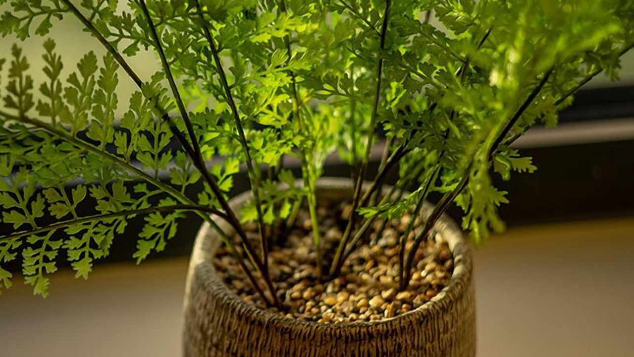 Photo of Others in Birmingham City Centre