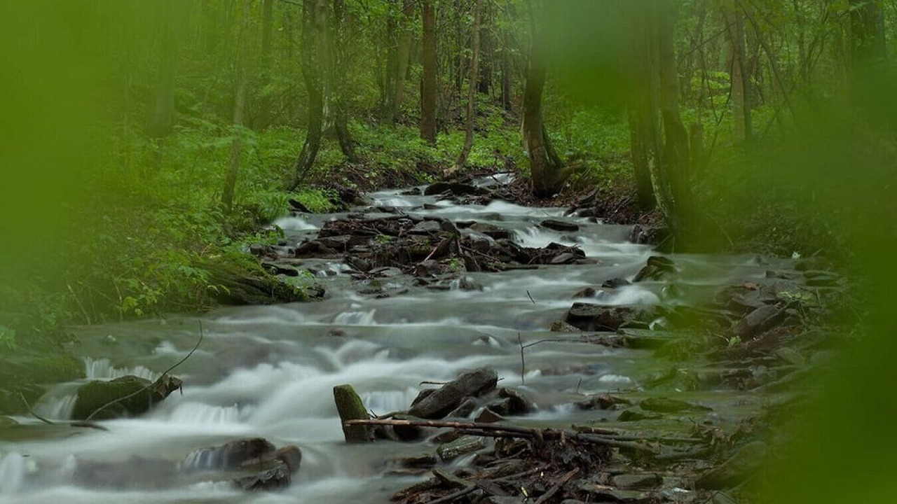 Photo of Others in Roxbury