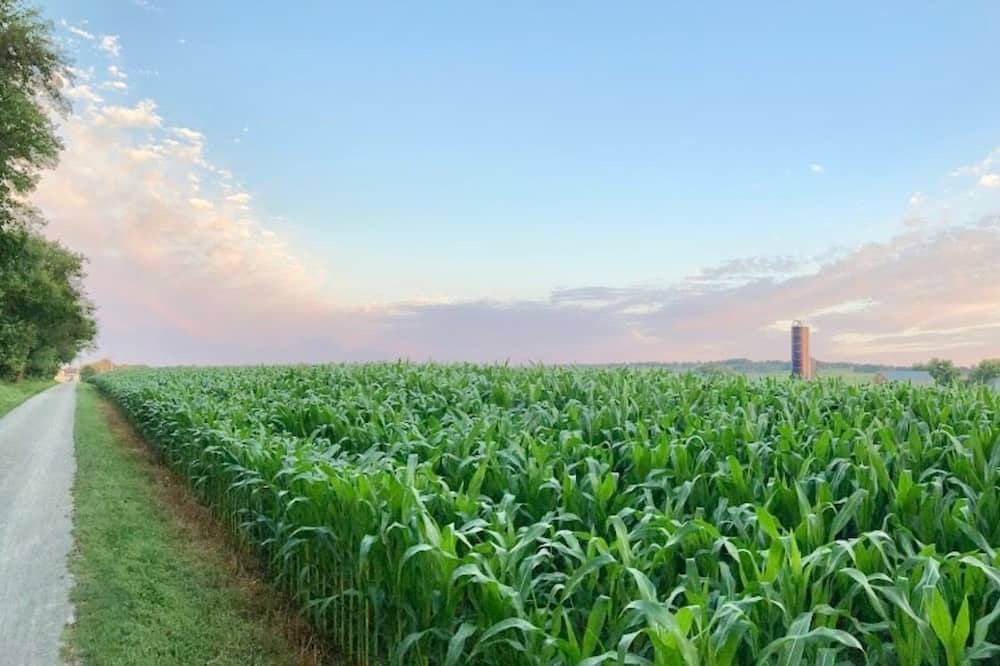 Photo of Outdoor in Lititz