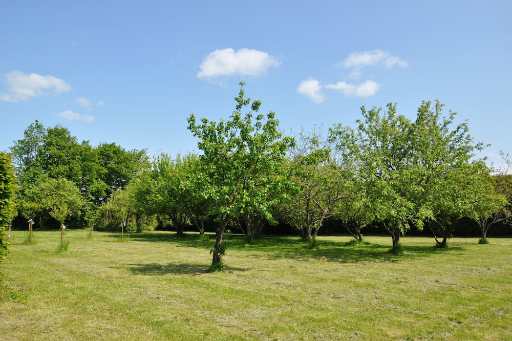 Photo of Others in Happonvilliers