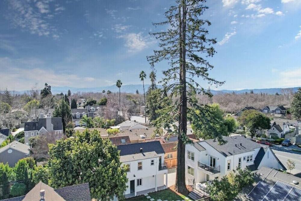 Photo of Outdoor in Willow Glen