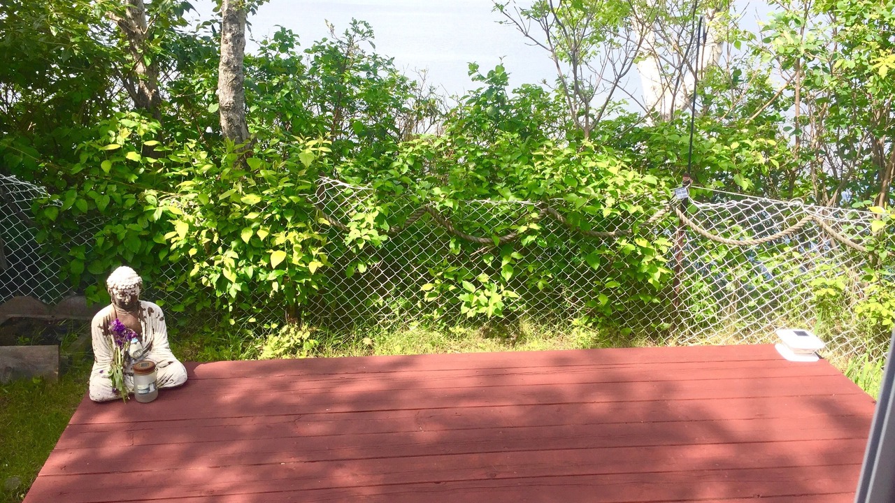 Photo of Outdoor in Dalhousie